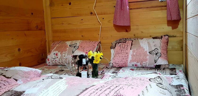 Imagen general del Hotel Rafting centar RT. Foto 14