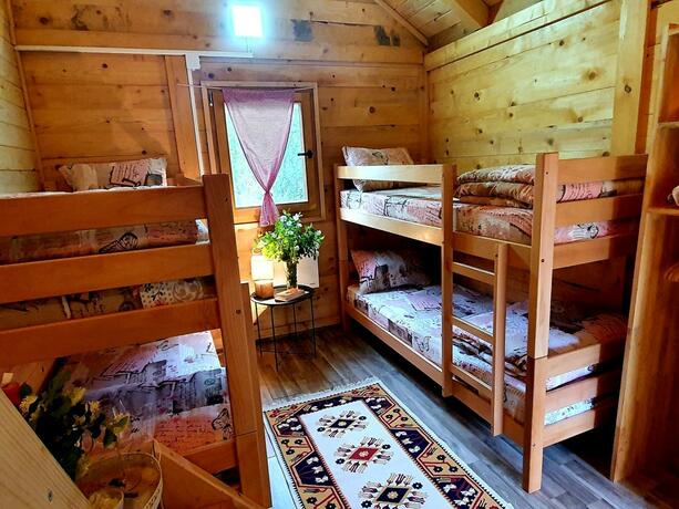 Imagen general del Hotel Rafting centar RT. Foto 21