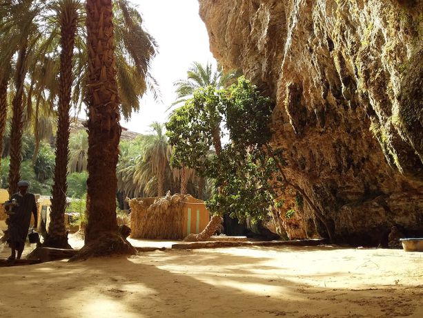 Imagen del bar/restaurante del Hotel Raha. Foto 7