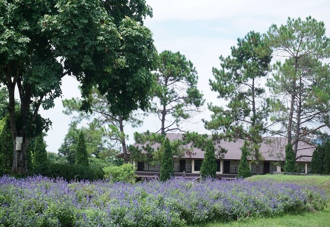 Imagen general del Hotel Rai Juthamas Resort. Foto 7