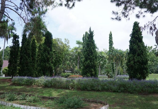 Imagen general del Hotel Rai Juthamas Resort. Foto 13