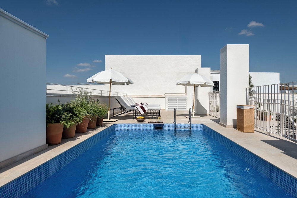 Imagen de la piscina del Hotel Ra&iacute;ces Alameda Casa Palacio. Foto 5