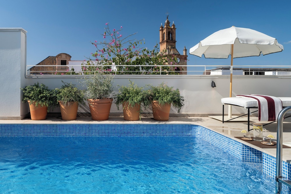 Imagen de la piscina del Hotel Ra&iacute;ces Alameda Casa Palacio. Foto 6