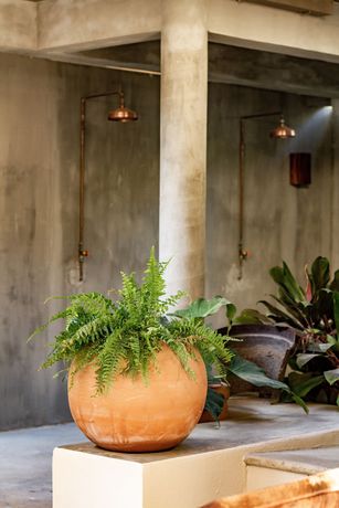 Imagen general del Hotel Ra&iacute;z Boutique. Foto 4