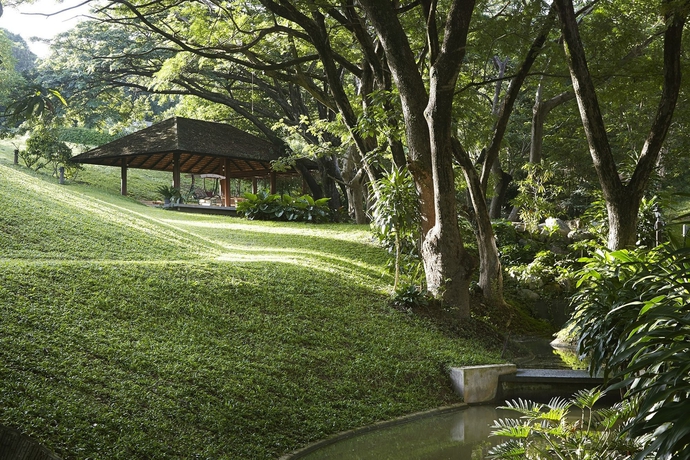 Imagen de los exteriores del Hotel Rain Tree Residence. Foto 12