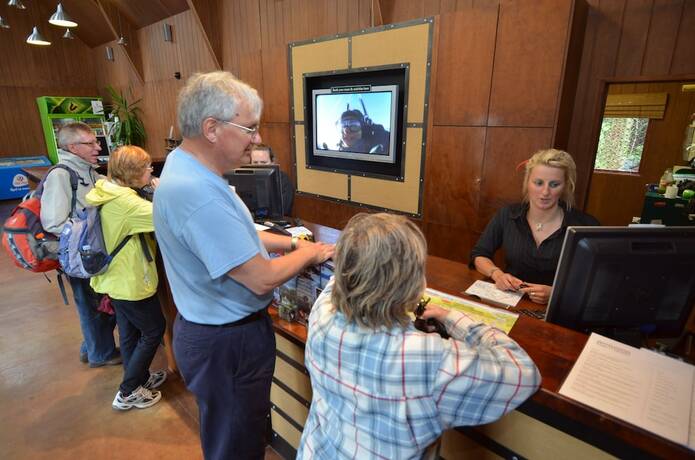 Imagen general del Hotel Rainforest Retreat. Foto 2