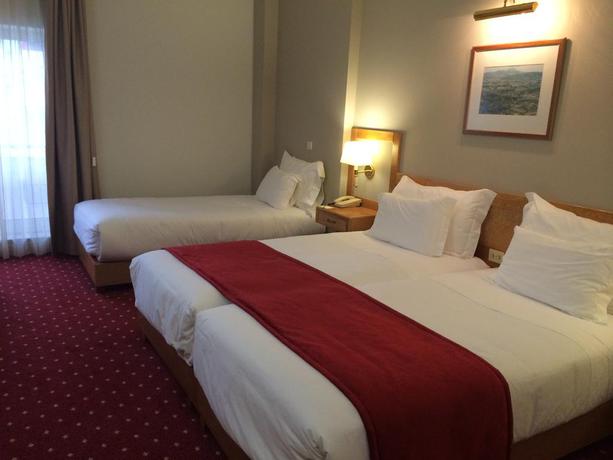 Imagen de la habitación del Hotel Rainha D. Amelia, Arts and Leisure. Foto 7