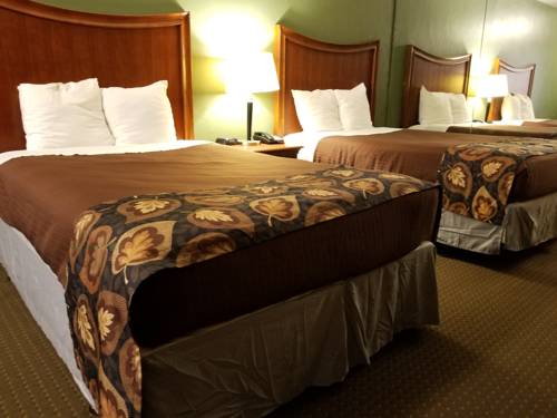 Imagen de la habitación del Hotel Raintree Inn. Foto 8