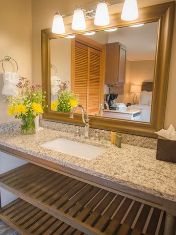 Imagen de la habitación del Hotel Raintree\'s Park Plaza Park City. Foto 12
