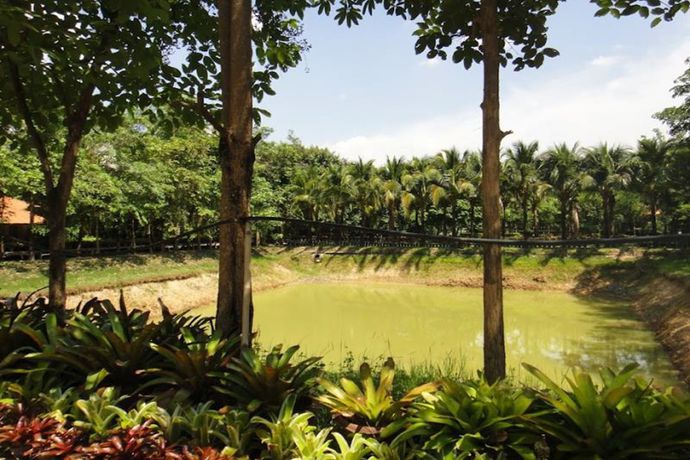 Imagen de la habitación del Hotel Raisailuang Resort. Foto 5
