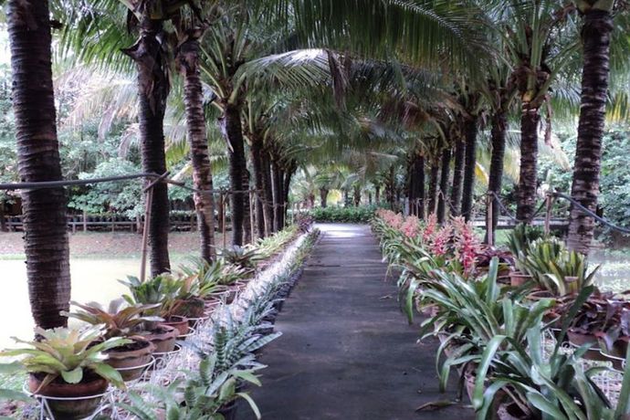 Imagen de los exteriores del Hotel Raisailuang Resort. Foto 15