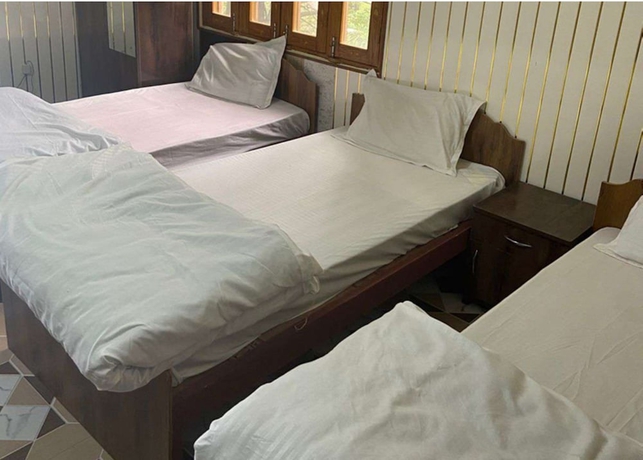 Imagen de la habitación del Hotel Raj Palace, Badrinath. Foto 2