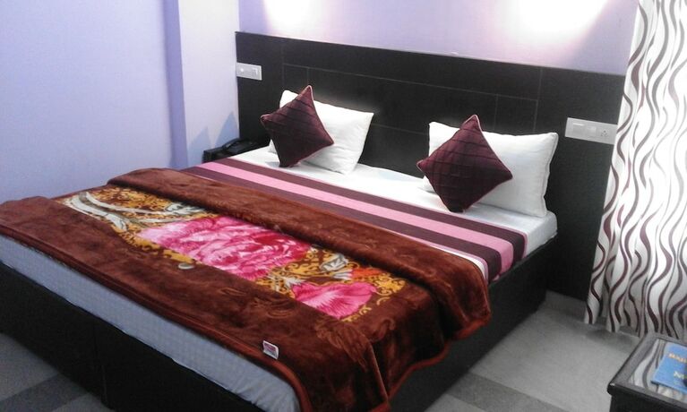 Imagen de la habitación del Hotel Raja's Palace. Foto 23