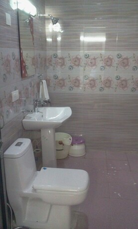 Imagen de la habitación del Hotel Raja's Palace. Foto 39