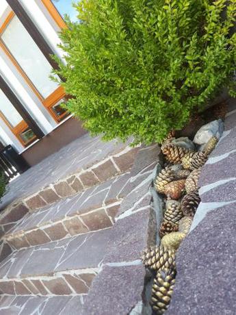 Imagen general del Hotel Rakov Skocjan. Foto 3