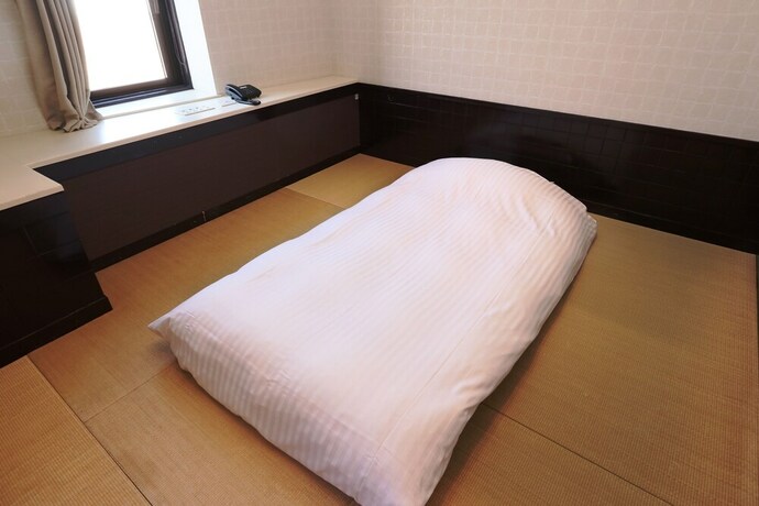 Imagen de la habitación del Hotel Raku Serina. Foto 10