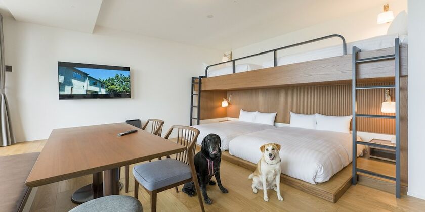 Imagen de la habitación del Hotel Rakuten STAY Atami. Foto 15