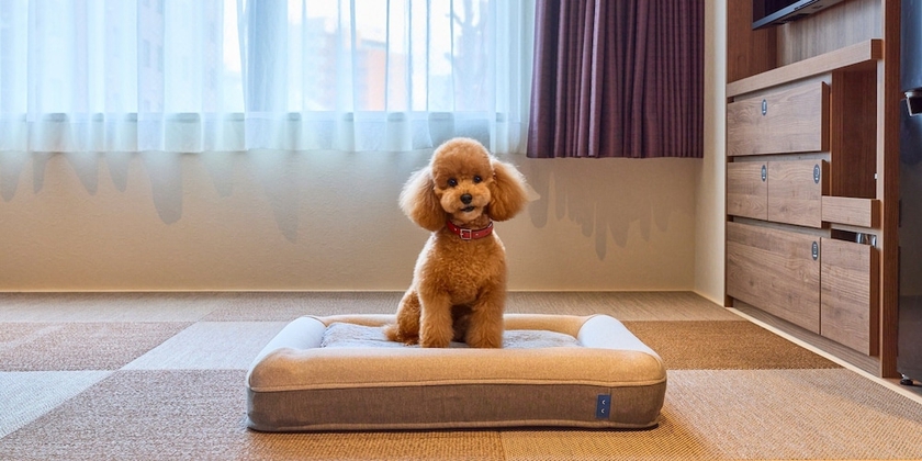 Imagen de la habitación del Hotel Rakuten STAY Sapporo Nakajima Park. Foto 8