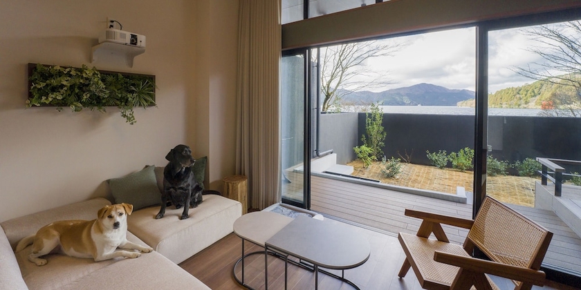 Imagen de la habitación del Hotel RakutenSTAY FUJIMITERRACE HakoneAshinoko. Foto 4