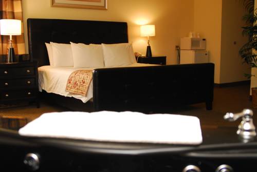 Imagen de la habitación del Hotel Ramada By Wyndham Bettendorf. Foto 5