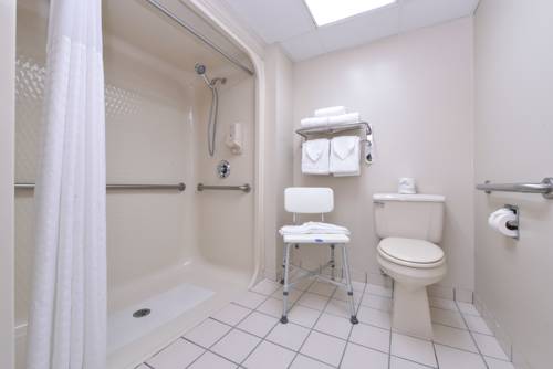 Imagen de la habitación del Hotel Ramada By Wyndham Branson. Foto 14