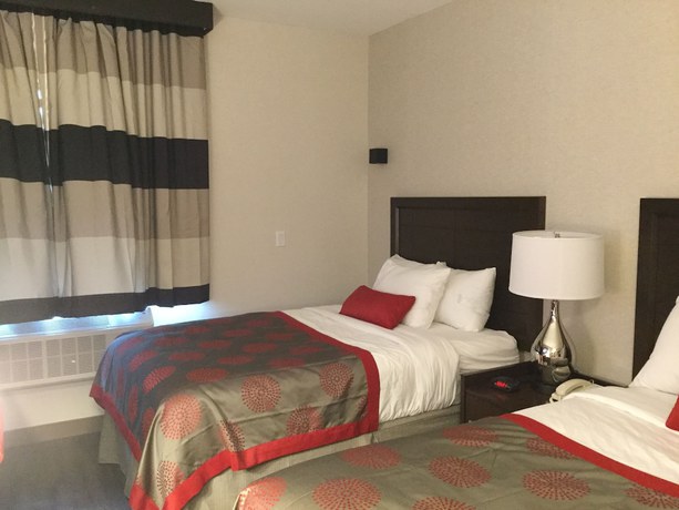 Imagen de la habitación del Hotel Ramada By Wyndham Bronx Terminal. Foto 4