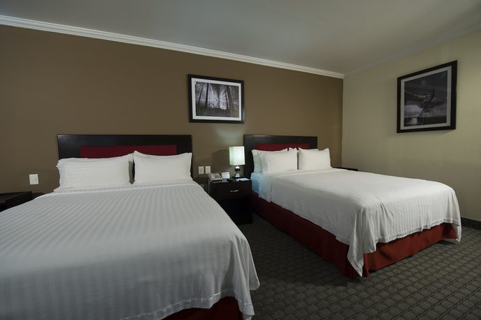 Imagen de la habitación del Hotel Ramada By Wyndham Ciudad De Mexico Perinorte. Foto 14