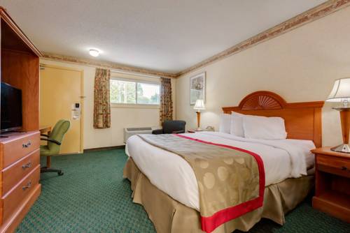 Imagen de la habitación del Hotel Ramada By Wyndham Cleveland Airport West. Foto 10