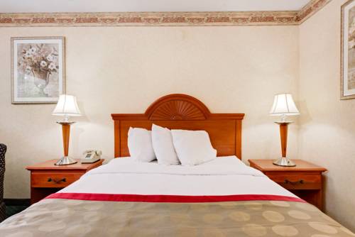Imagen de la habitación del Hotel Ramada By Wyndham Cleveland Airport West. Foto 11