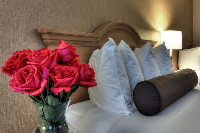 Imagen de la habitación del Hotel Ramada By Wyndham Costa Mesa/newport Beach. Foto 10