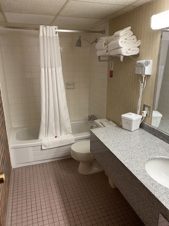 Imagen de la habitación del Hotel Ramada By Wyndham Lethbridge. Foto 16