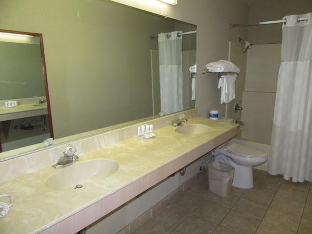 Imagen de la habitación del Hotel Ramada By Wyndham Los Angeles/koreatown West. Foto 11