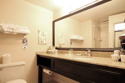 Imagen de la habitación del Hotel Ramada By Wyndham Minneapolis Airport/eagan. Foto 4