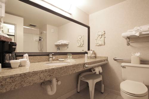 Imagen de la habitación del Hotel Ramada By Wyndham Minneapolis Airport/eagan. Foto 5