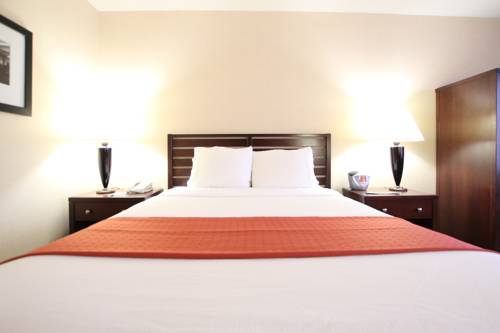 Imagen de la habitación del Hotel Ramada By Wyndham Minneapolis Airport/eagan. Foto 10