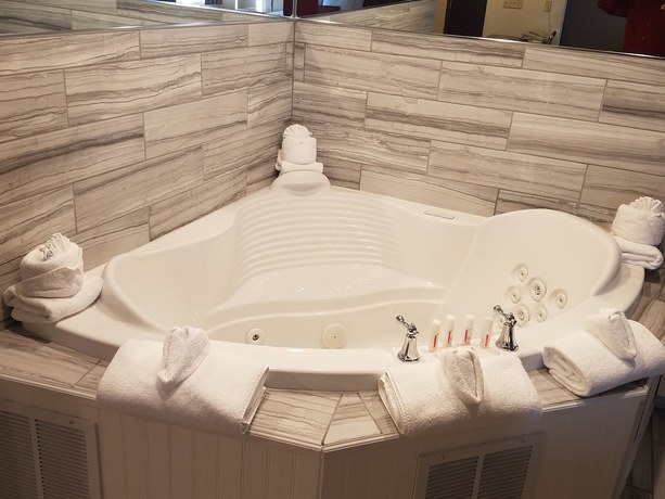 Imagen de la habitación del Hotel Ramada By Wyndham Minneapolis Golden Valley. Foto 2