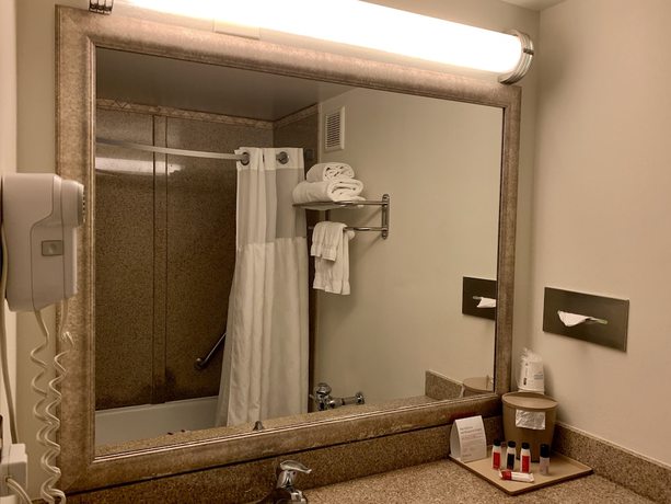 Imagen de la habitación del Hotel Ramada By Wyndham Newark/wilmington. Foto 11