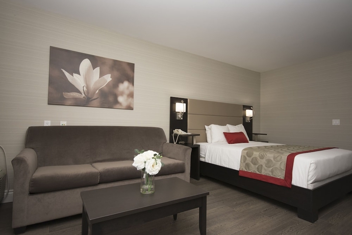 Imagen de la habitación del Hotel Ramada By Wyndham Ottawa On The Rideau. Foto 9