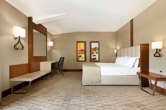 Imagen de la habitación del Hotel Ramada By Wyndham Sakarya. Foto 10