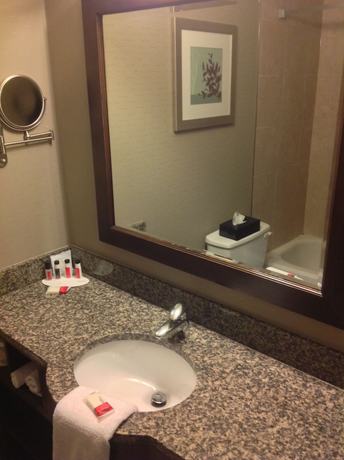 Imagen de la habitación del Hotel Ramada By Wyndham Saskatoon. Foto 14