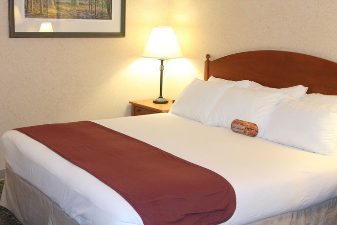 Imagen de la habitación del Hotel Ramada By Wyndham State College and Conference Center. Foto 13