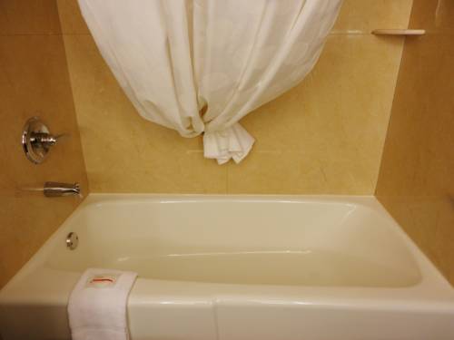 Imagen de la habitación del Hotel Ramada By Wyndham Tuscaloosa. Foto 3
