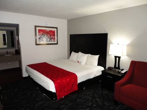 Imagen de la habitación del Hotel Ramada By Wyndham Tuscaloosa. Foto 12