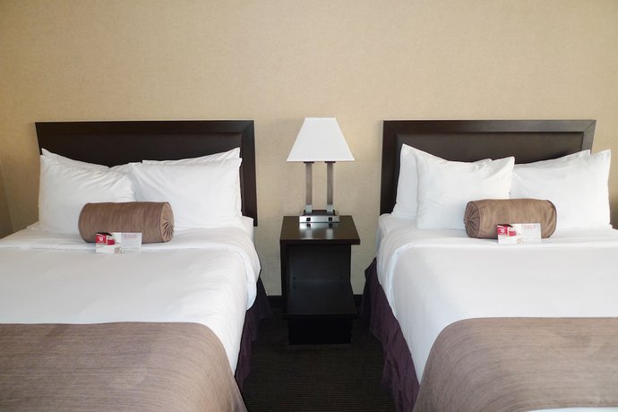 Imagen de la habitación del Hotel Ramada Plaza By Wyndham Calgary Downtown. Foto 8