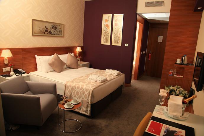Imagen de la habitación del Hotel Ramada Plaza By Wyndham Istanbul Asia Airport. Foto 15