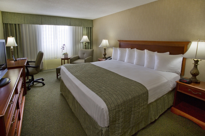 Imagen de la habitación del Hotel Ramada Plaza By Wyndham Waikiki. Foto 7