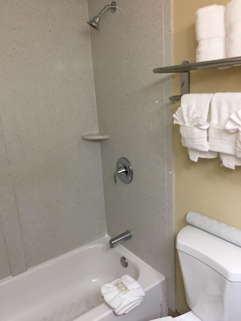 Imagen de la habitación del Hotel Ramada Plaza by Wyndham Charlotte Airport Conference Center. Foto 7