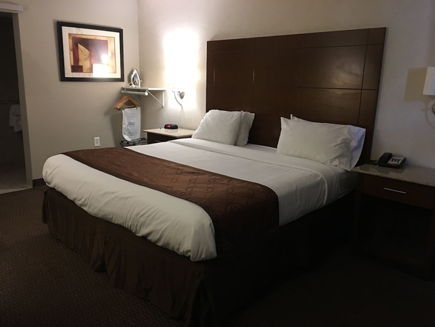 Imagen de la habitación del Hotel Ramada Rockville Centre. Foto 14