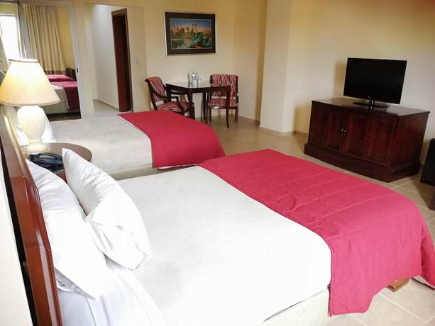 Imagen de la habitación del Hotel Ramada Santo Domingo Princess. Foto 20