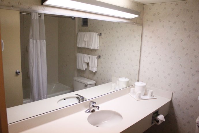 Imagen de la habitación del Hotel Ramada by Wyndham Alpena Hotel & Conference Center. Foto 8